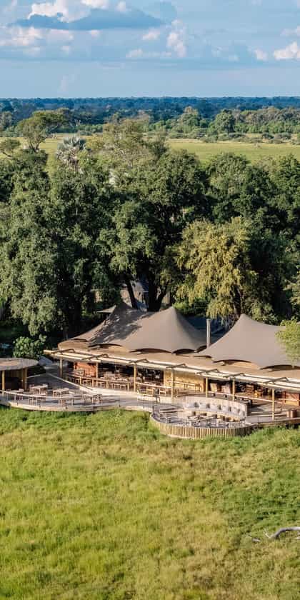 Mombo Camp, Moremi | Timbuktu Travel