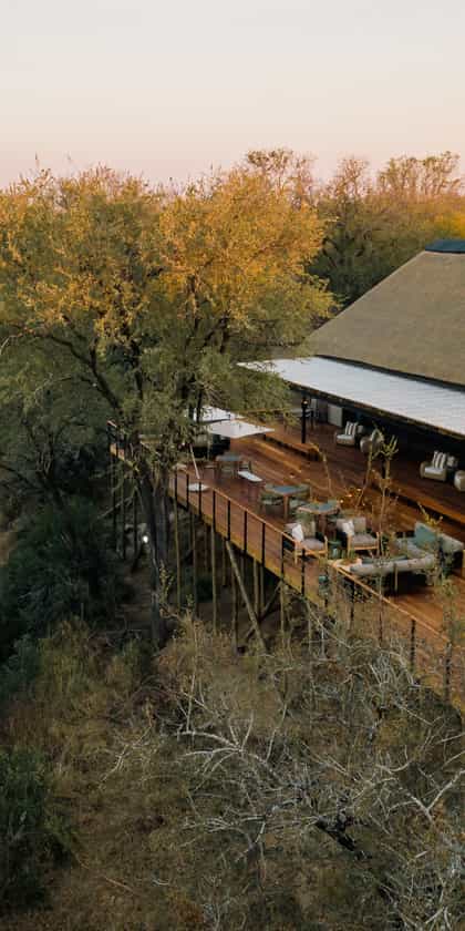 Simbambili Game Lodge, Northern Sabi Sands | Timbuktu Travel