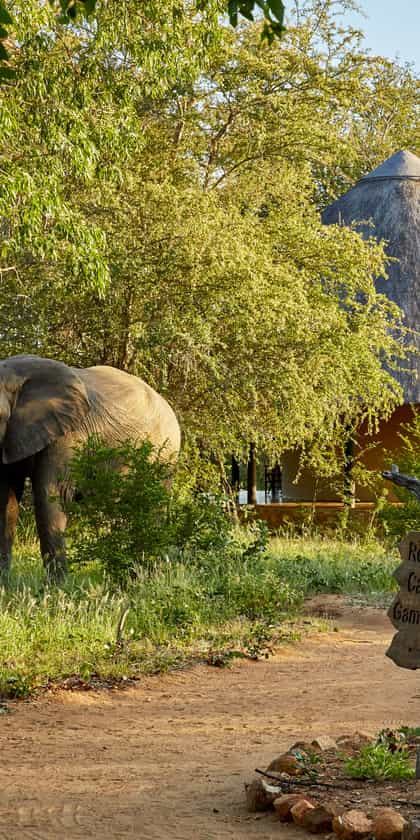 Motswari Game Lodge, Timbavati | Timbuktu Travel