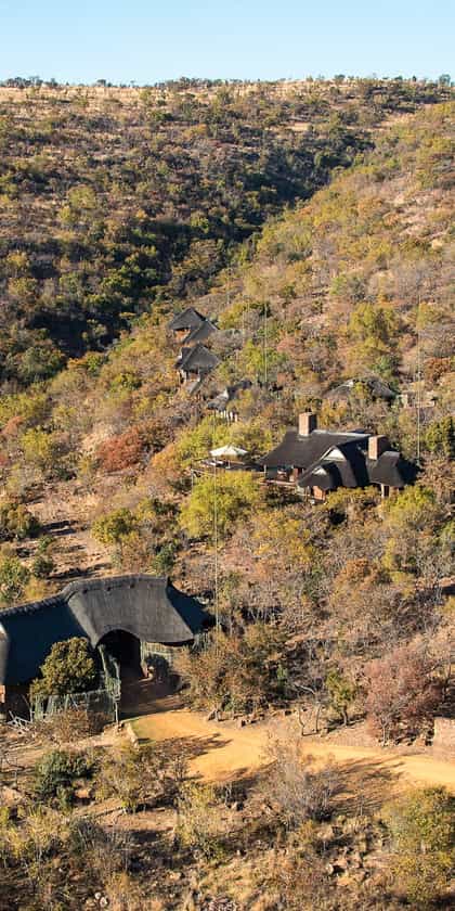 Tshwene Lodge, Welgevonden Game Reserve | Timbuktu Travel