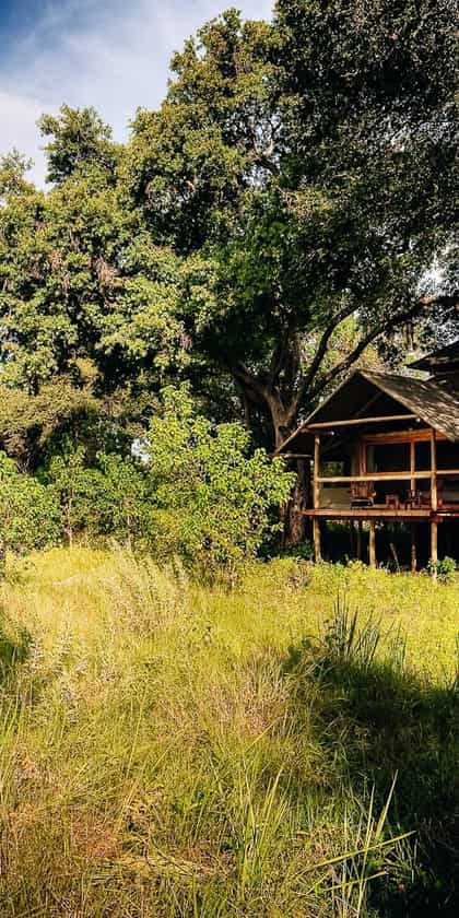 Little Kwara, Central Okavango | Timbuktu Travel