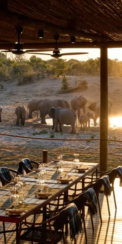Savute Safari Lodge, Savuti | Timbuktu Travel