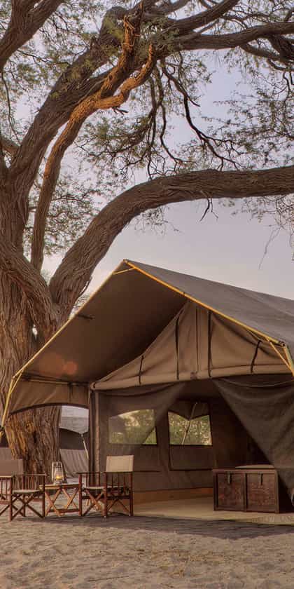 &Beyond Savute Under Canvas, Savuti | Timbuktu Travel