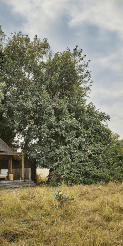 Kuyenda Bushcamp, South Luangwa | Timbuktu Travel