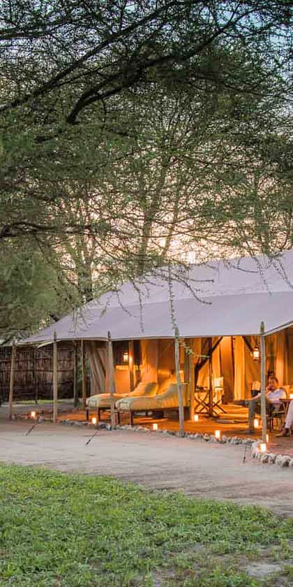 Little Chem Chem, Tarangire | Timbuktu Travel