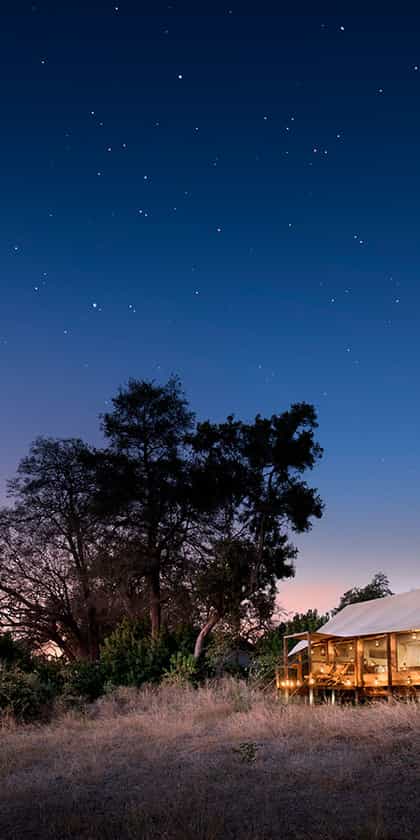 Linyanti Ebony Camp, Linyanti | Timbuktu Travel