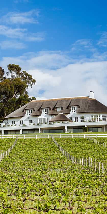 Mont Rochelle Hotel & Vineyard, The Franschhoek Valley | Timbuktu Travel