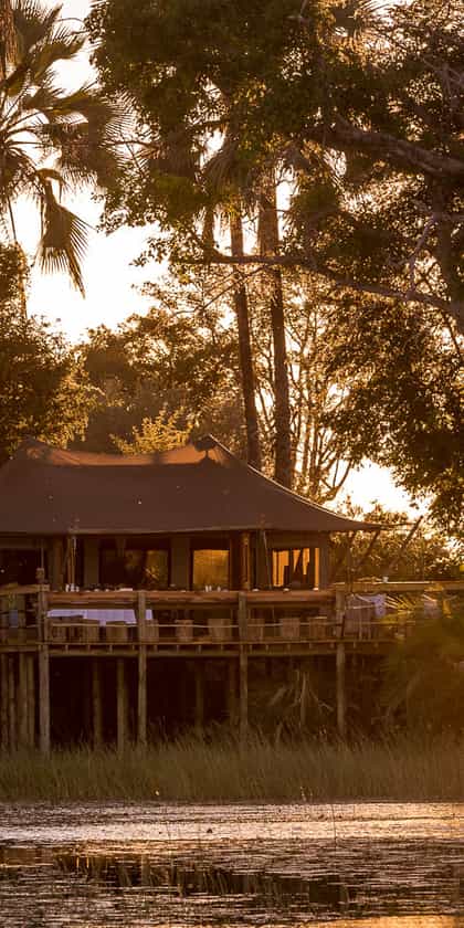 Pelo Camp, Central Okavango | Timbuktu Travel