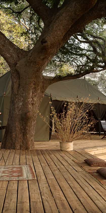 Nomad Chada Katavi, Katavi | Timbuktu Travel