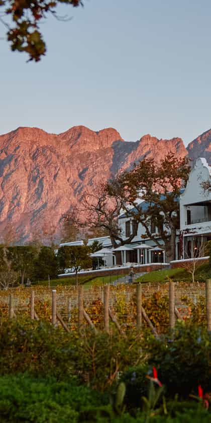 Leeu Estates, The Franschhoek Valley | Timbuktu Travel