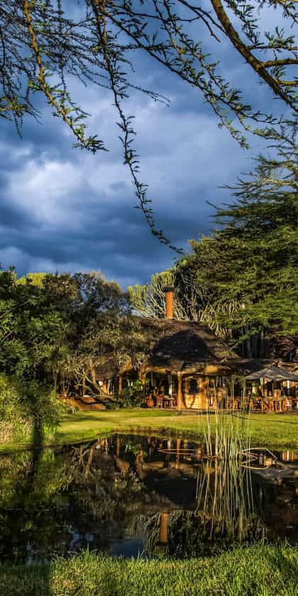 Chui Lodge, Lake Naivasha | Timbuktu Travel