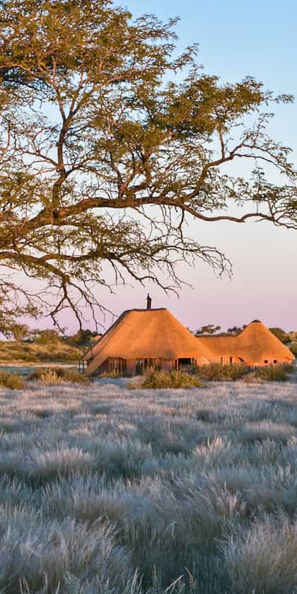 Kalahari Red Dunes, Kalahari | Timbuktu Travel