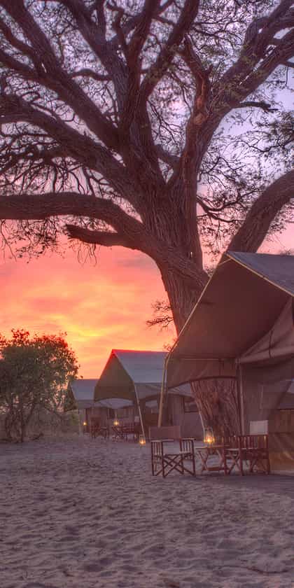 &Beyond Chobe Under Canvas , Chobe | Timbuktu Travel
