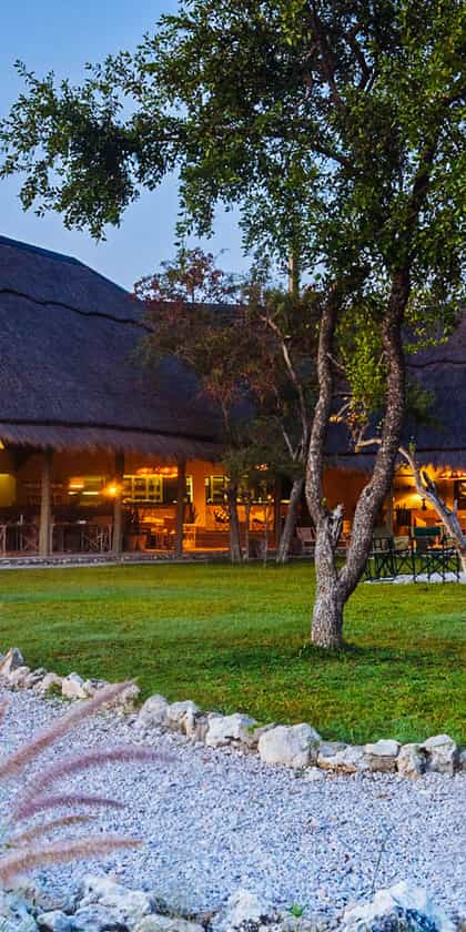 Mushara Bush Camp, Etosha | Timbuktu Travel