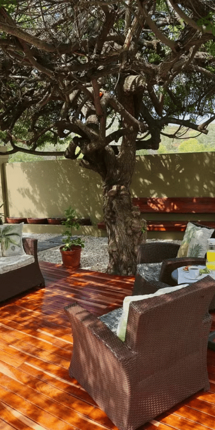 Villa Violet, Windhoek | Timbuktu Travel