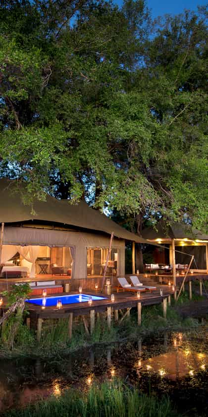 Duba Plains Camp, Central Okavango | Timbuktu Travel