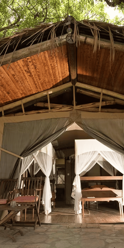 Fig Tree Camp, Masai Mara | Timbuktu Travel