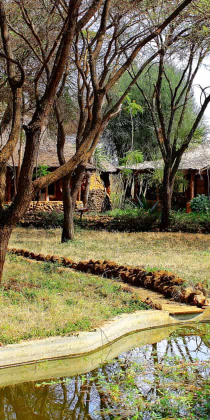 Amboseli Sopa Lodge, Amboseli & Chyulu Hills | Timbuktu Travel