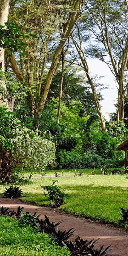 Migunga Tented Camp, Lake Manyara | Timbuktu Travel