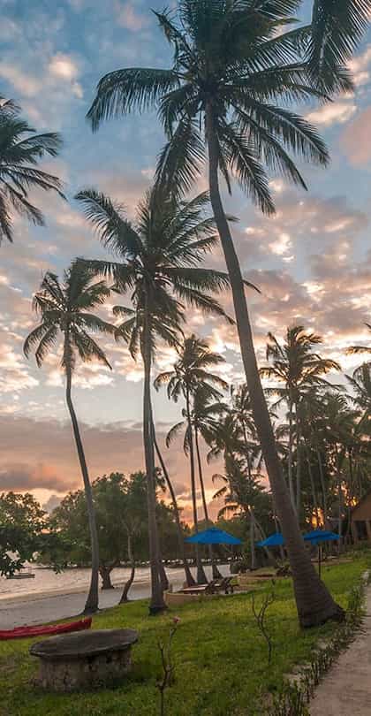 Kinasi Lodge, Mafia Island | Timbuktu Travel