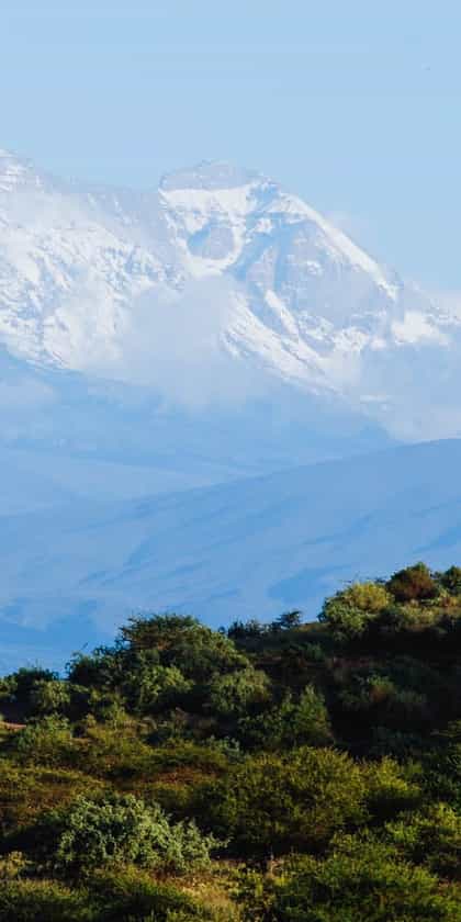 Shu'Mata Camp, Kilimanjaro | Timbuktu Travel