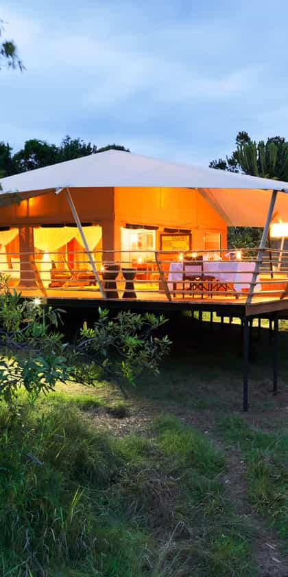 Serengeti Bushtops Camp, Serengeti | Timbuktu Travel