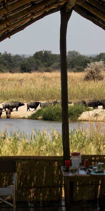 Buffalo Camp, North Luangwa | Timbuktu Travel