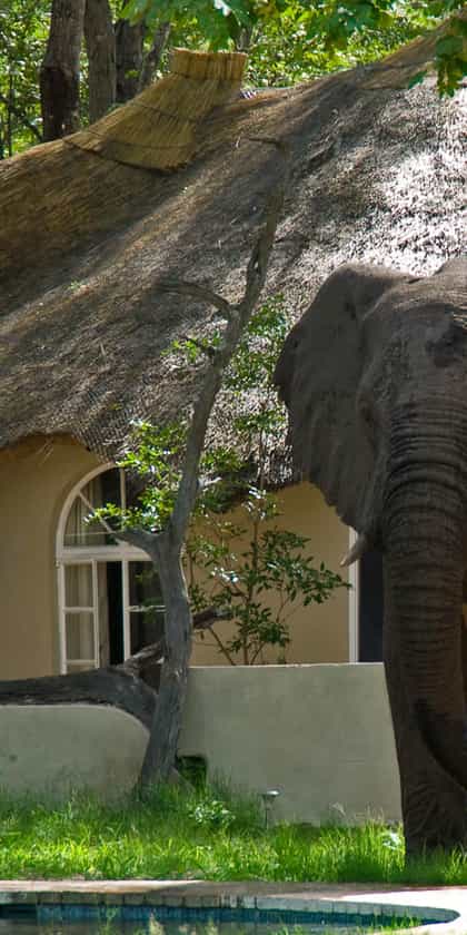 Sable Sands, Hwange | Timbuktu Travel