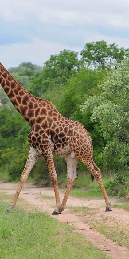 Fitzpatrick’s at Jock, Southern Kruger | Timbuktu Travel