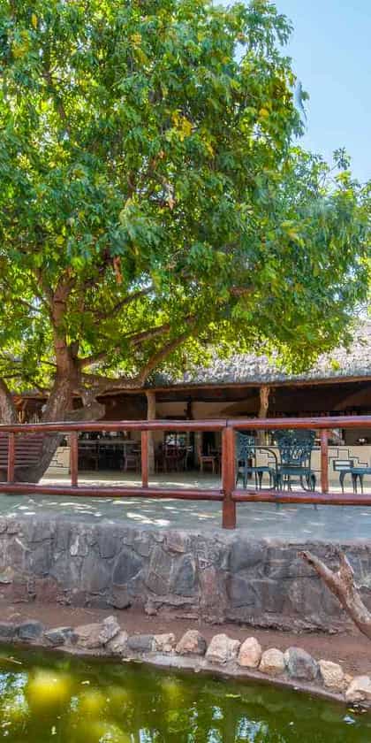 Tshukudu Game Lodge, Hoedspruit & Surrounds | Timbuktu Travel