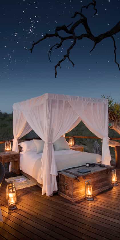 Chalkley Treehouse at Lion Sands, South & West Sabi Sands | Timbuktu Travel