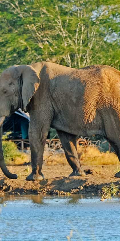 Satao Tented Camp, Tsavo | Timbuktu Travel