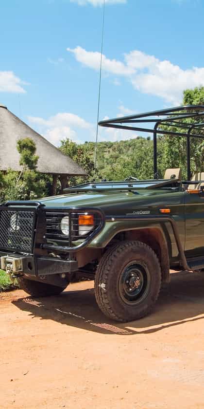 Izingwe Lodge, Welgevonden Game Reserve | Timbuktu Travel