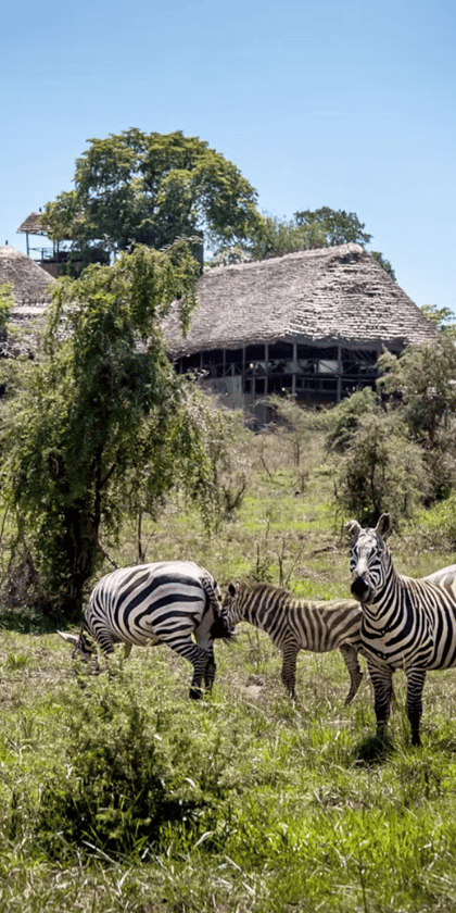 Apoka Safari Lodge, Kidepo Valley | Timbuktu Travel