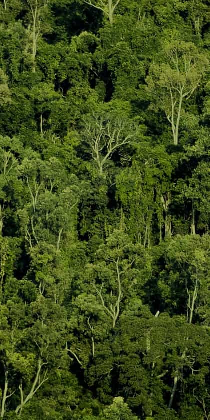 Setam Lodge, Ranomafana | Timbuktu Travel