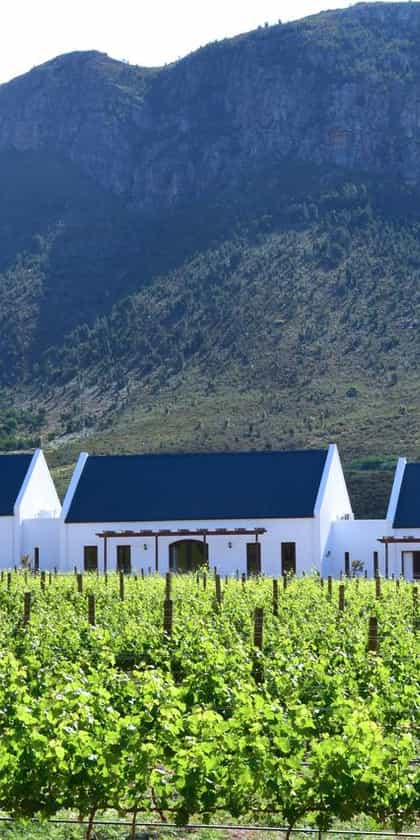 The Terraces At Chambray Estate, The Franschhoek Valley | Timbuktu Travel