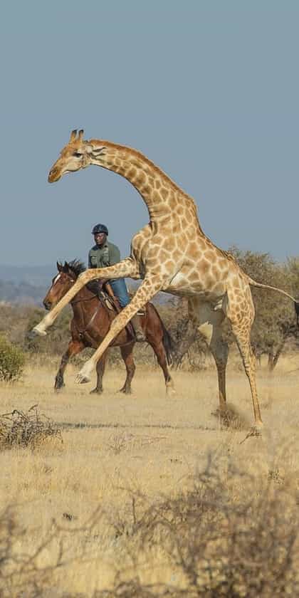 Horizon Horseback Safari Lodge, Waterberg | Timbuktu Travel