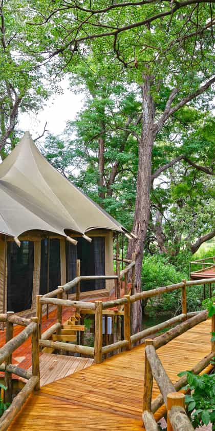 Nambwa Tented Lodge, Caprivi (the Zambezi Region) | Timbuktu Travel
