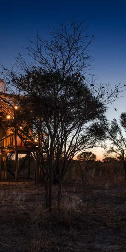 Skybeds, Khwai | Timbuktu Travel