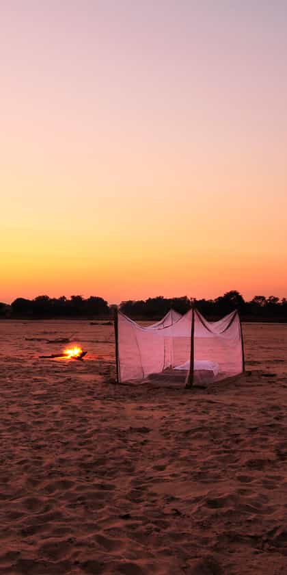 Return to the Wild, South Luangwa | Timbuktu Travel