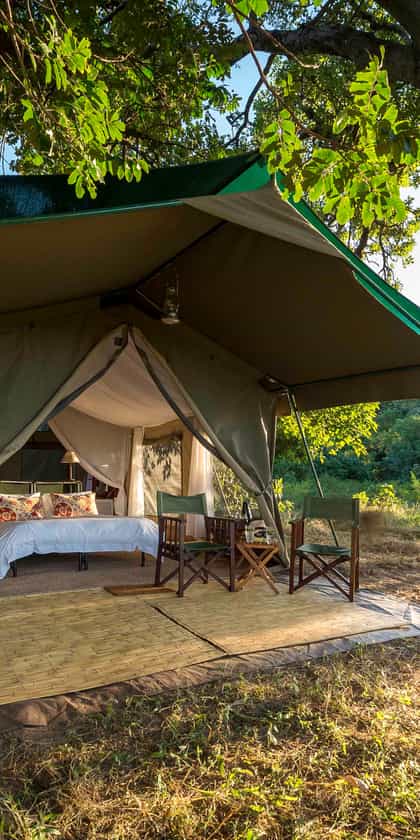 John's Camp, Mana Pools | Timbuktu Travel