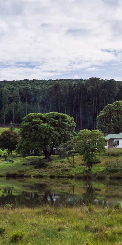 Chelinda Camp, Nyika | Timbuktu Travel
