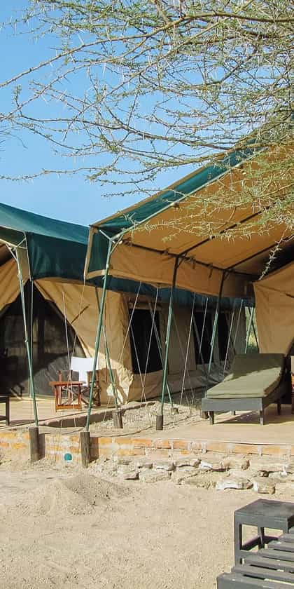 Manyara Ranch, Lake Manyara | Timbuktu Travel