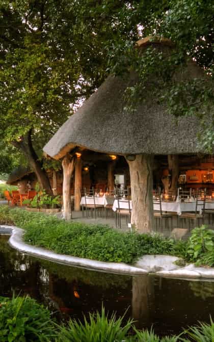 Thamalakane River Lodge, Maun | Timbuktu Travel