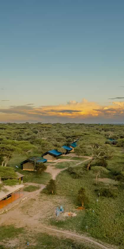 Ang'ata Migration Bologonja Camp, Serengeti | Timbuktu Travel
