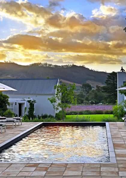 Lavender Farm, The Franschhoek Valley | Timbuktu Travel