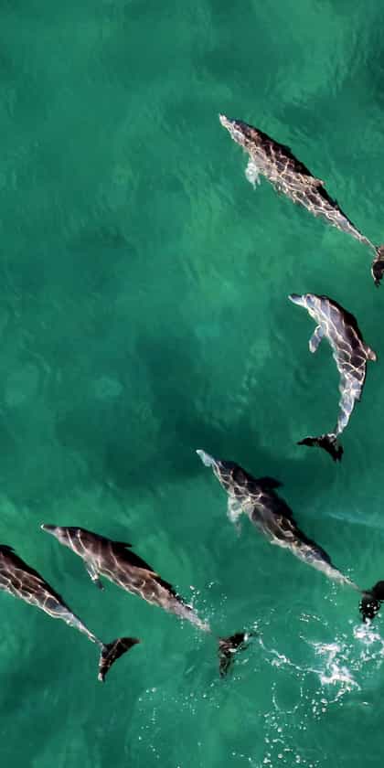 Casa Cabana Beach, Vilanculos | Timbuktu Travel