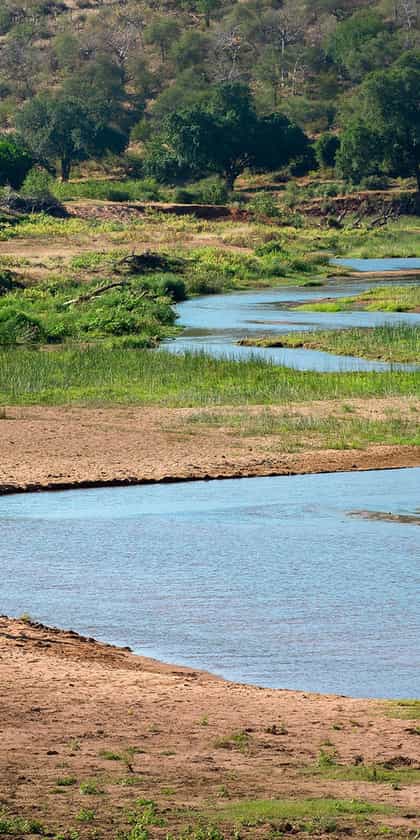 Pafuri Walking Trails, Northern Kruger | Timbuktu Travel