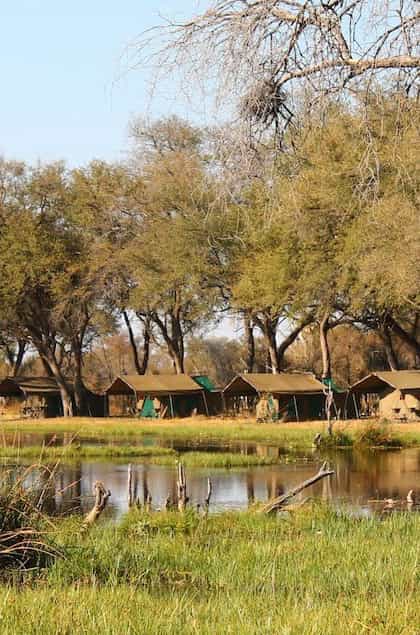 Capture Africa Mobile Safaris, Central Okavango | Timbuktu Travel