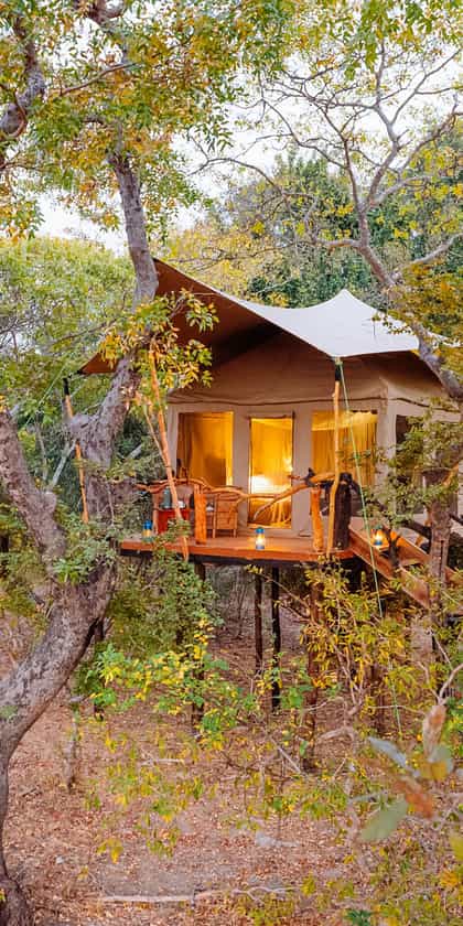 Mukambi Fig Tree Bush Camp, Kafue | Timbuktu Travel